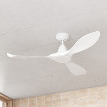 Noosa DC Ceiling Fan with Remote Control